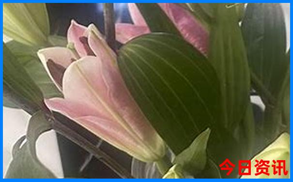 暑假带孩子去海边玩哪里好